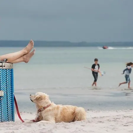 Reihenhaus Im Ostseeresort Dampland