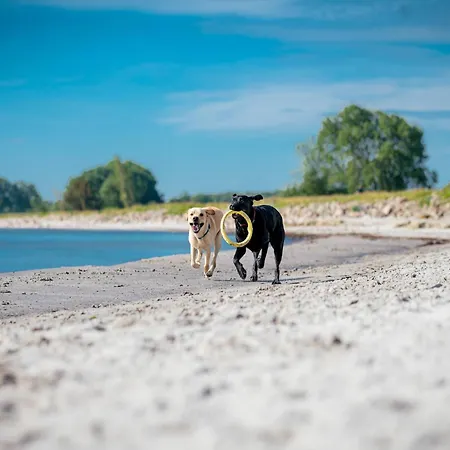 בית נופש Reihenhaus Im Ostseeresort Dampland דאמפ